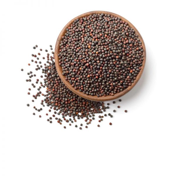 Black Mustard Seeds (கடுகு ) - 1 kg for Pasi Aatru Program